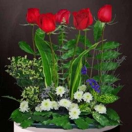 6 Red Roses Small Table Arrangement