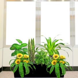 Artificial SunFlower Plants Group in Planter Box (Total Hight : 80cm)