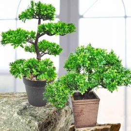 Artificial Bonsai Tree ( 2 Pots )