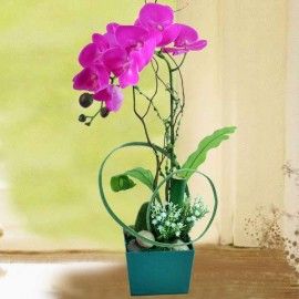 Artificial Purple Phalaenopsis Orchid Arrangement in Green Plast 