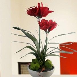 Artificial Red Amaryllis Plant