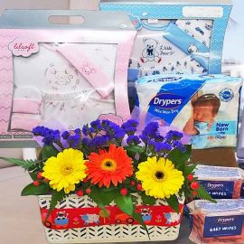 Sweet Baby Gifts Basket Delivery ( Pls choose Baby Girl or Baby Boy )