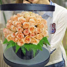 60 Champagne Roses in Round Transparent Box