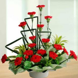 18 Red Carnation Table Arrangement in Plastic Container