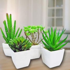 4 Artificial Mixed Mini Cactus Potted Plants