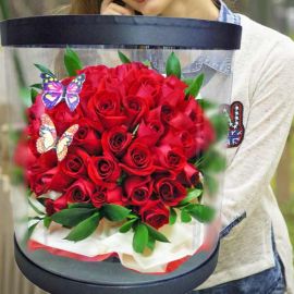 60 Red Roses in Round Transparent Box