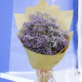 Purple Baby's-breath ( Gypsophila ) Hand Bouquet.