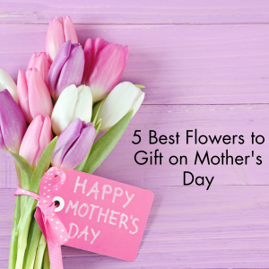 Blossoming Love - The 5 Best Flowers to Gift on Mother's Day